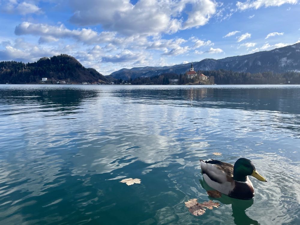 Photograph by Eastpearl