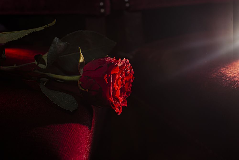 Photograph by Запылаева Анна