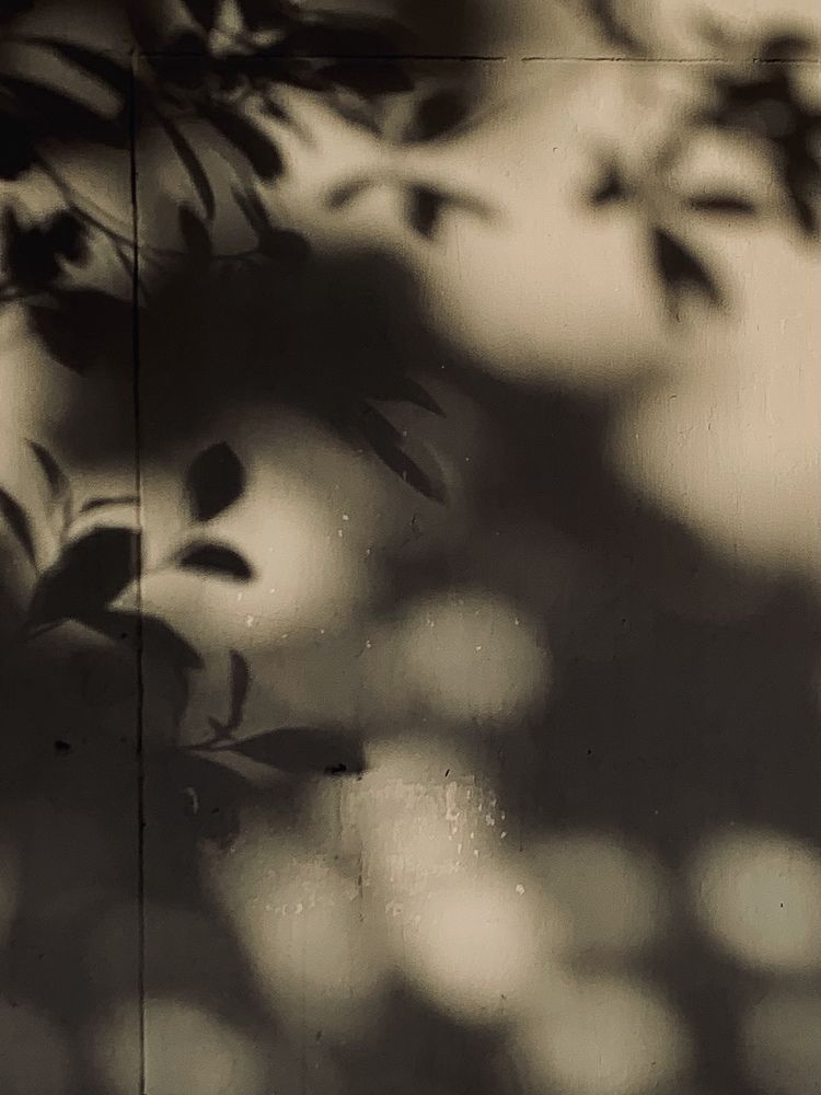 Photograph by Rafat Aldin Chowsik