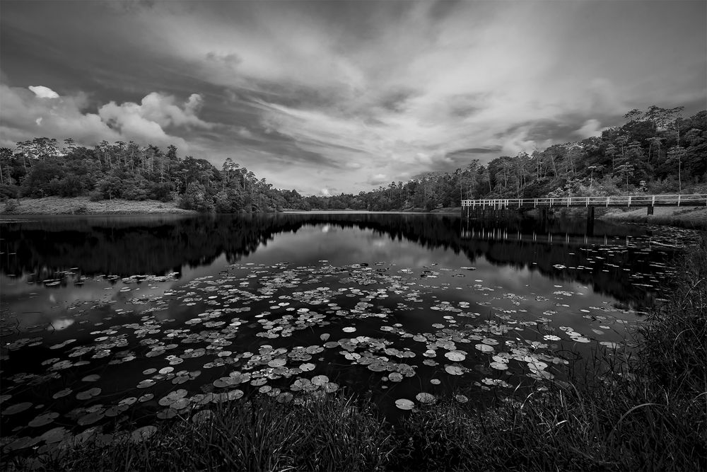 Photograph by Pouyan Safavi