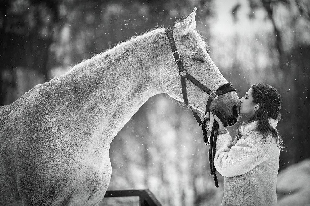 Photograph by Алина Жук