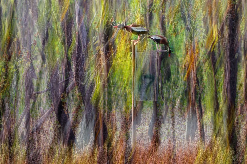 Photograph by Anatoliy Kosterev