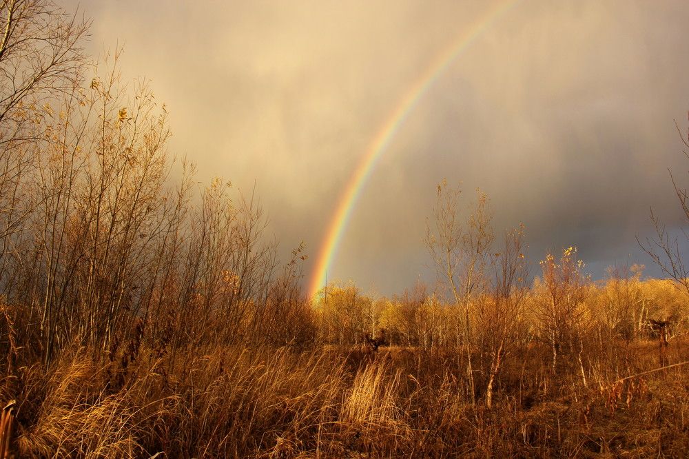 Photograph by Наталья Турчик