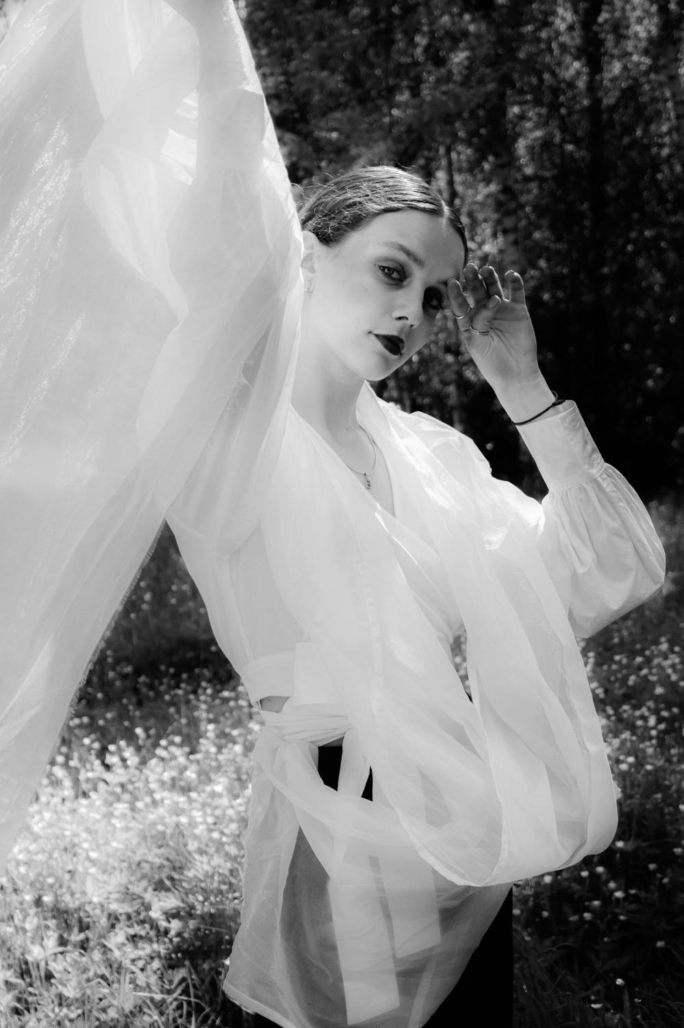 Photo #8384112