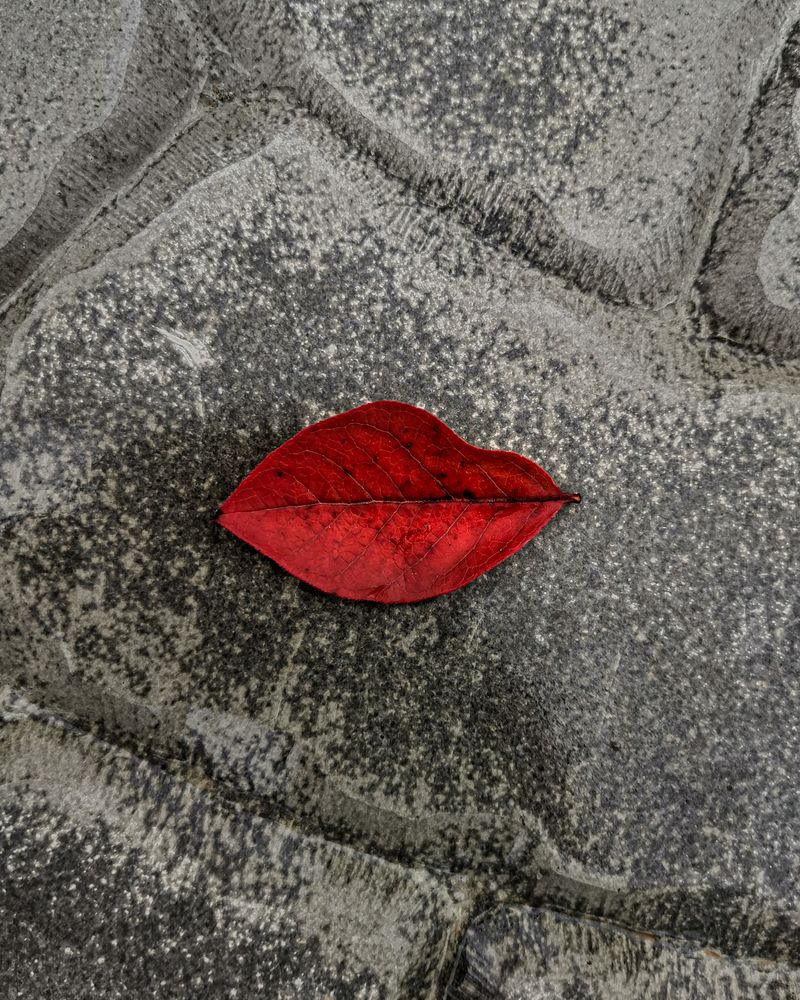 Photograph by Наталья Балабанова