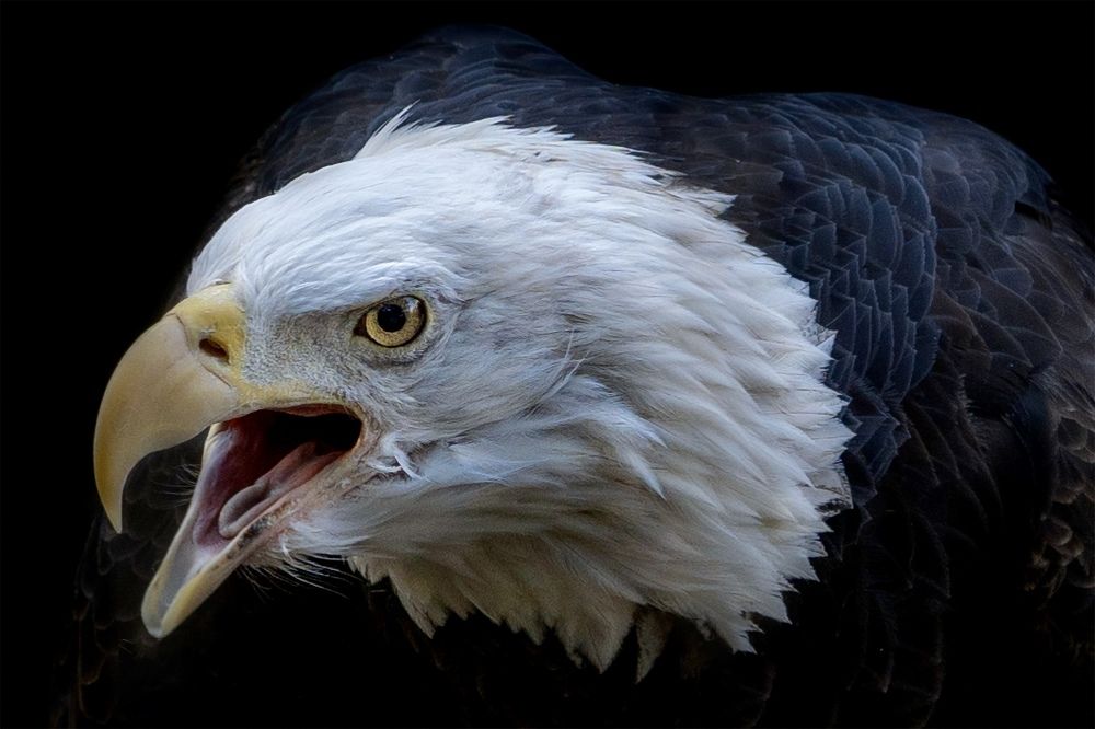 Фотография автора Viktoria