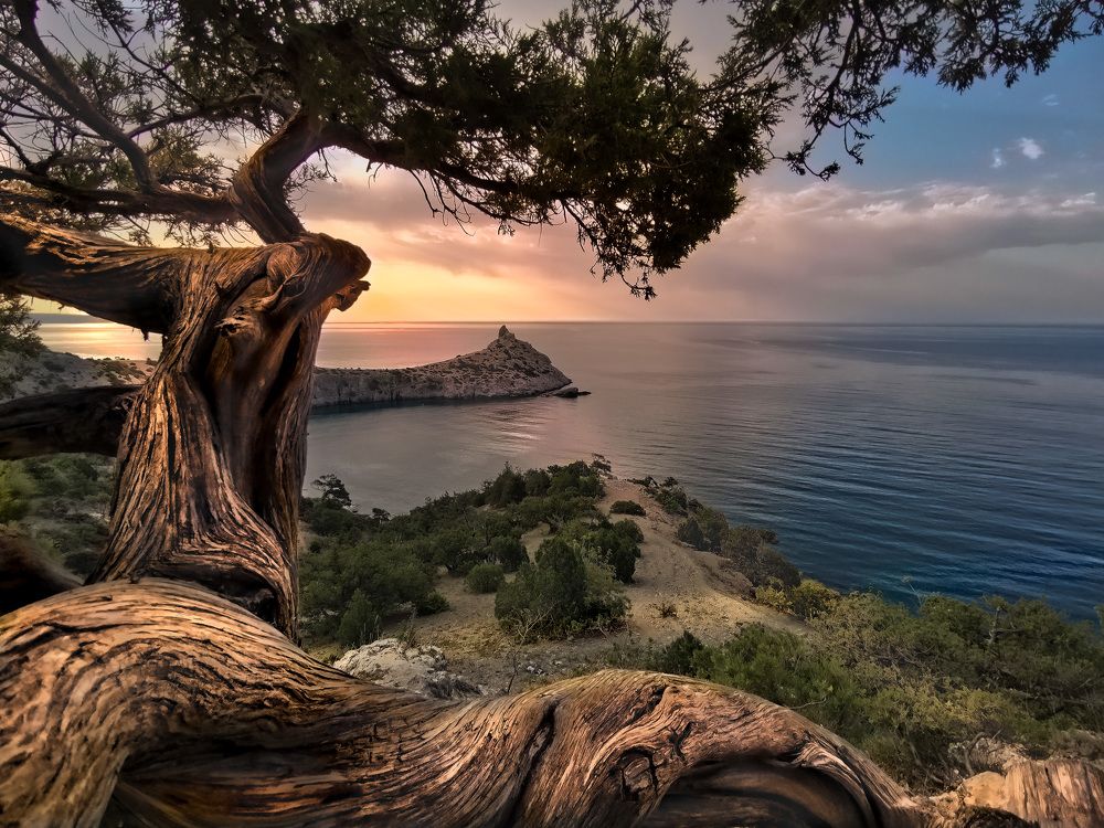 Селфи у моря