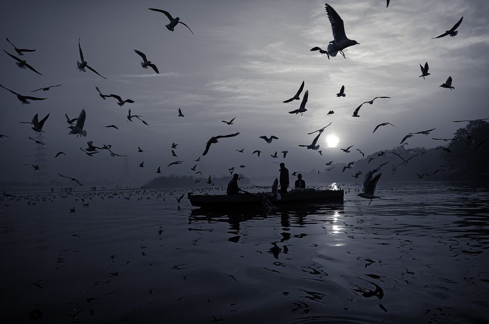 Photograph by Saurabh