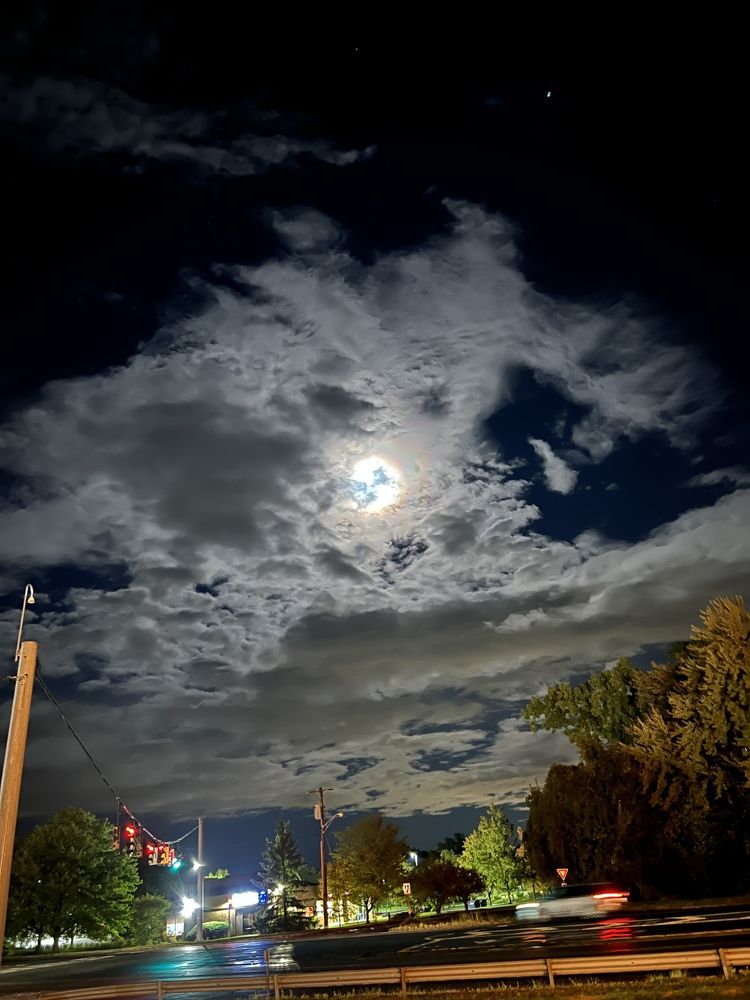 Photograph by Carlos