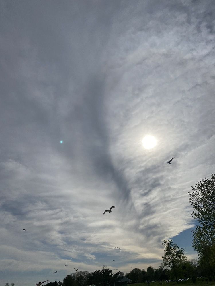 Photograph by Carlos Chevalier