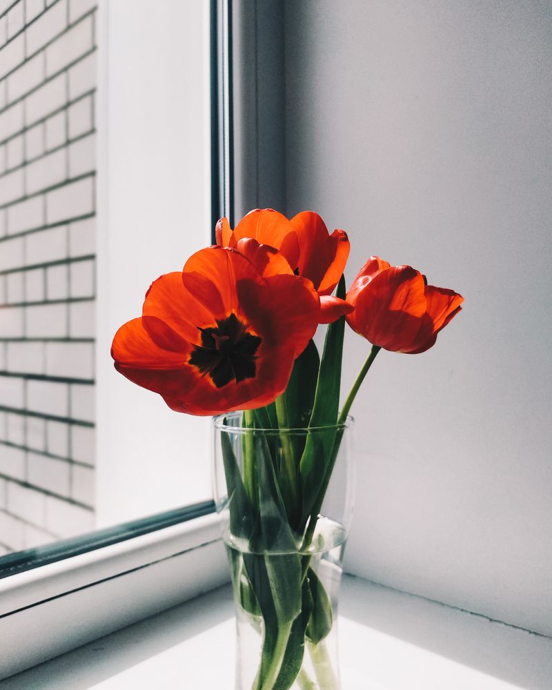 Фотография автора Юлия Гантимурова