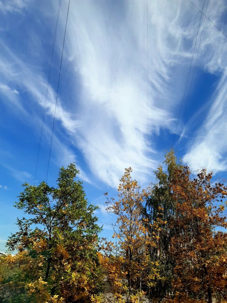 Фотография автора Наталья Шендяпина