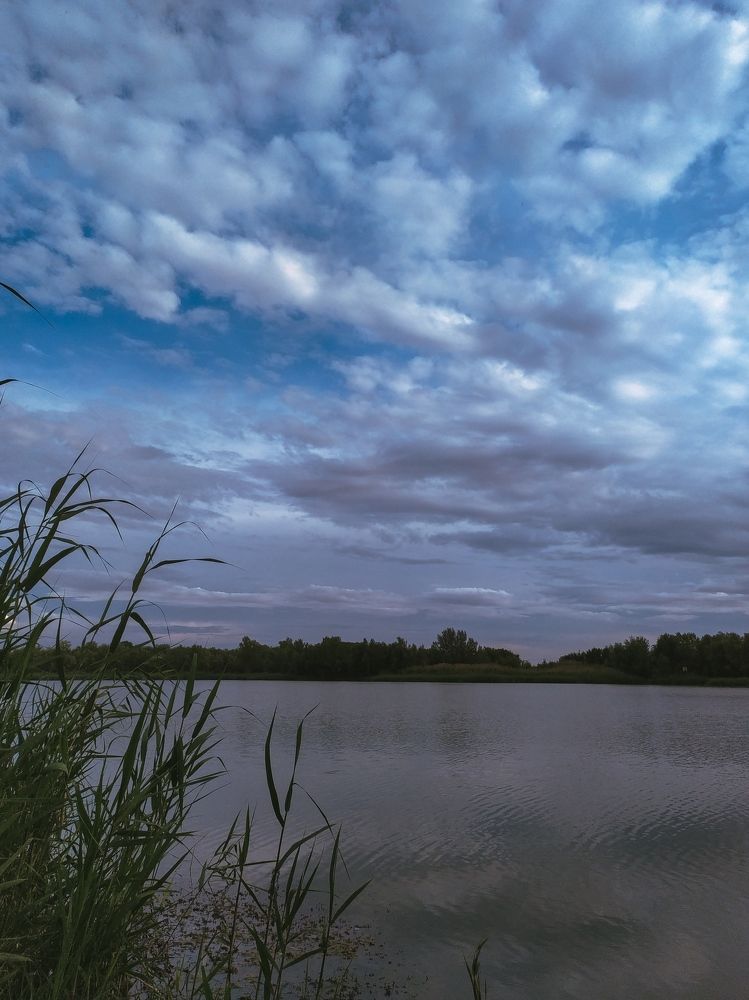 Фотография автора Юлия Гантимурова