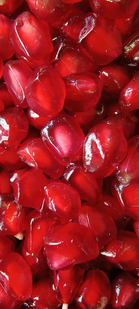 Фотография автора Dipayan Debbarma