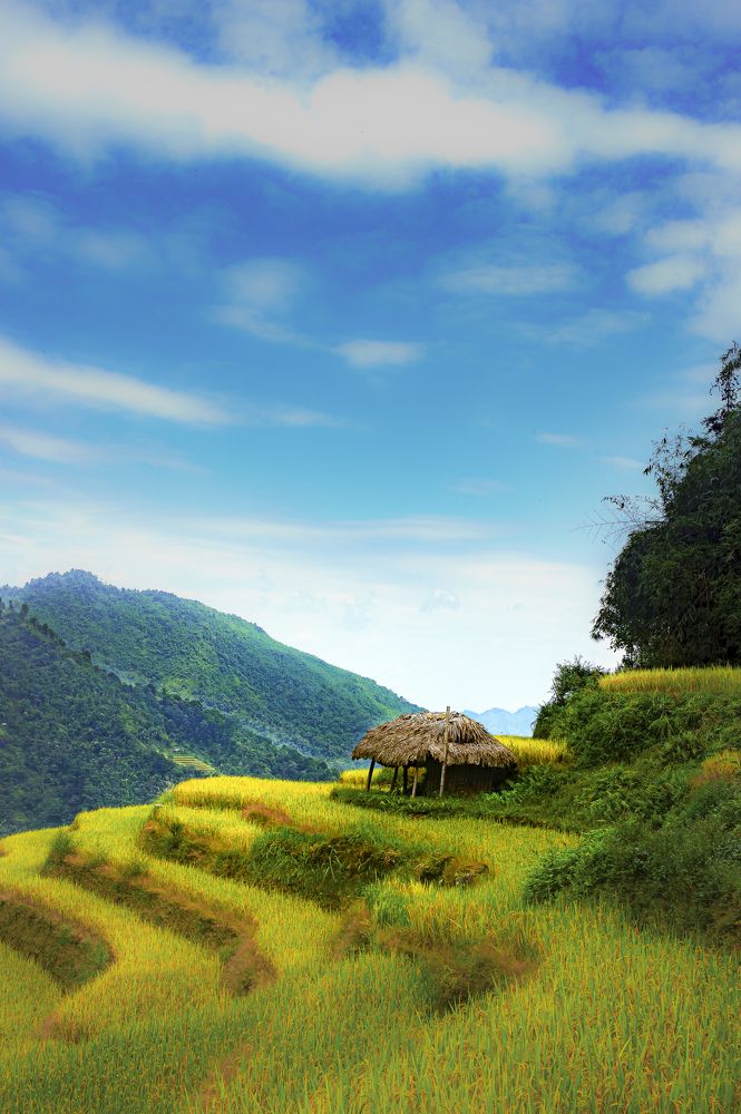 Photograph by PHUONG NGUYEN THANH