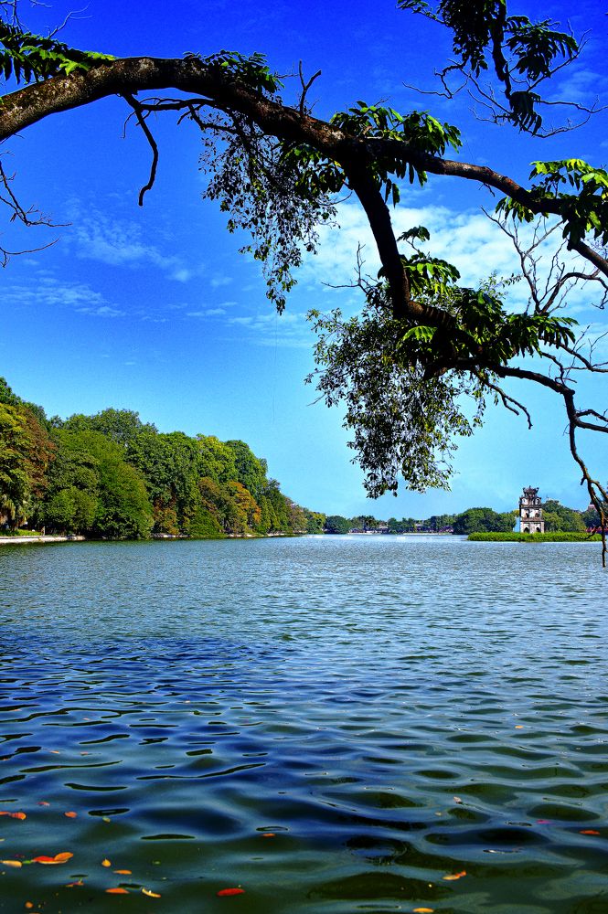 Photograph by PHUONG NGUYEN THANH