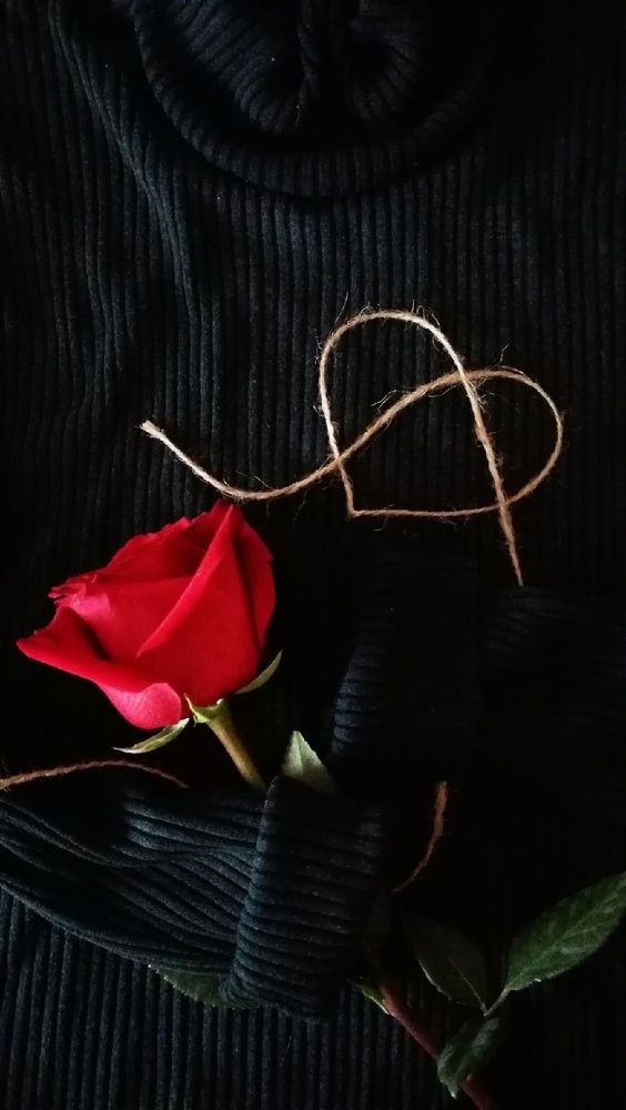 Photograph by Ирина Алпацкая