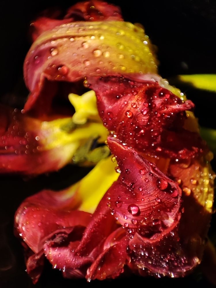 Photograph by Ольга Сучкова