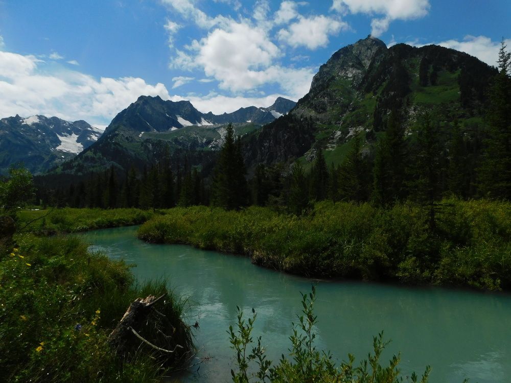 Photograph by Татьяна