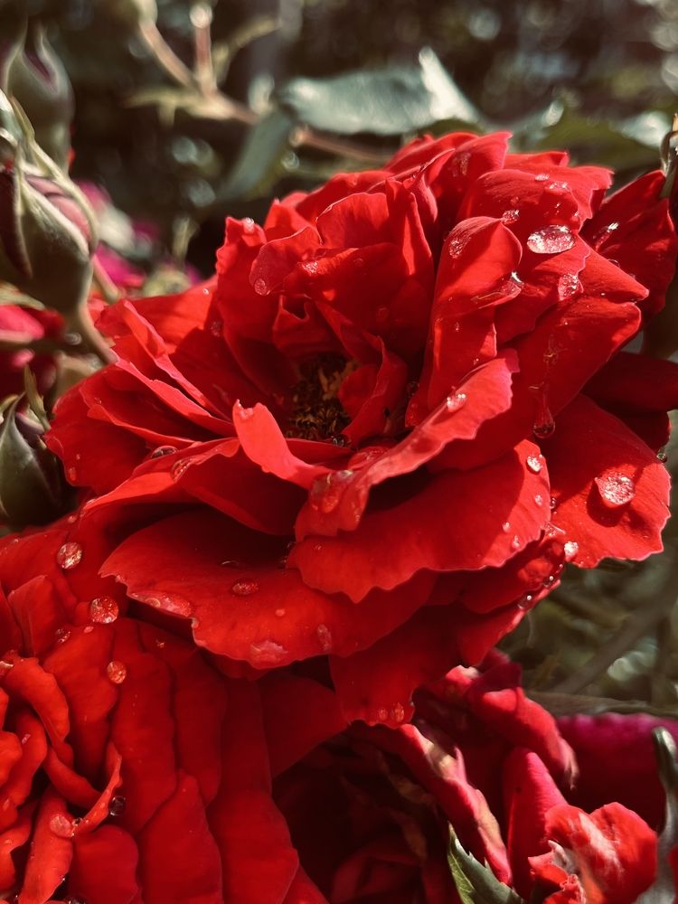 Photograph by Екатерина Валиуллина