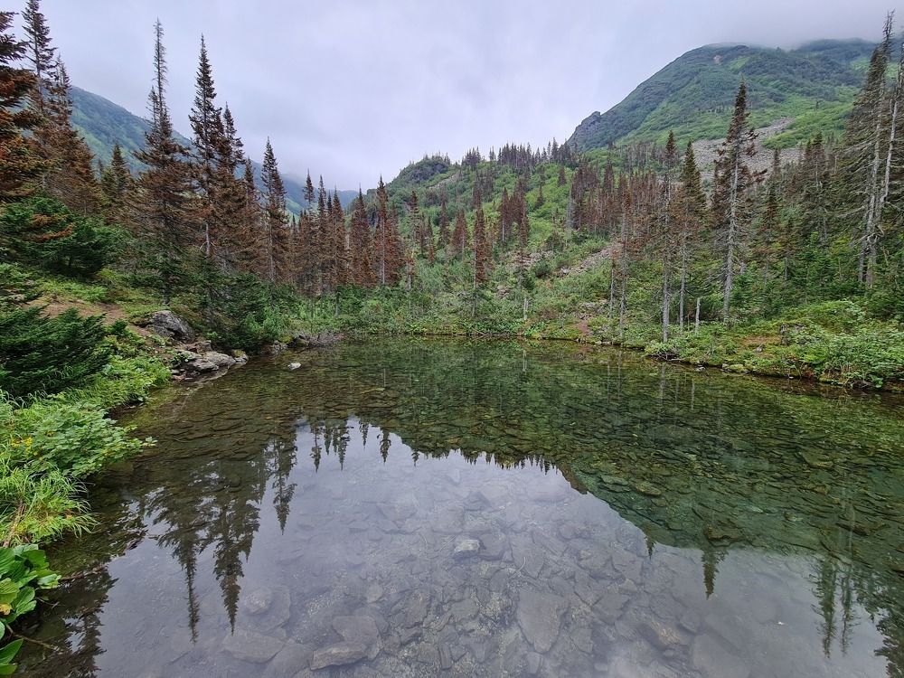 Photograph by Алексей Миронов