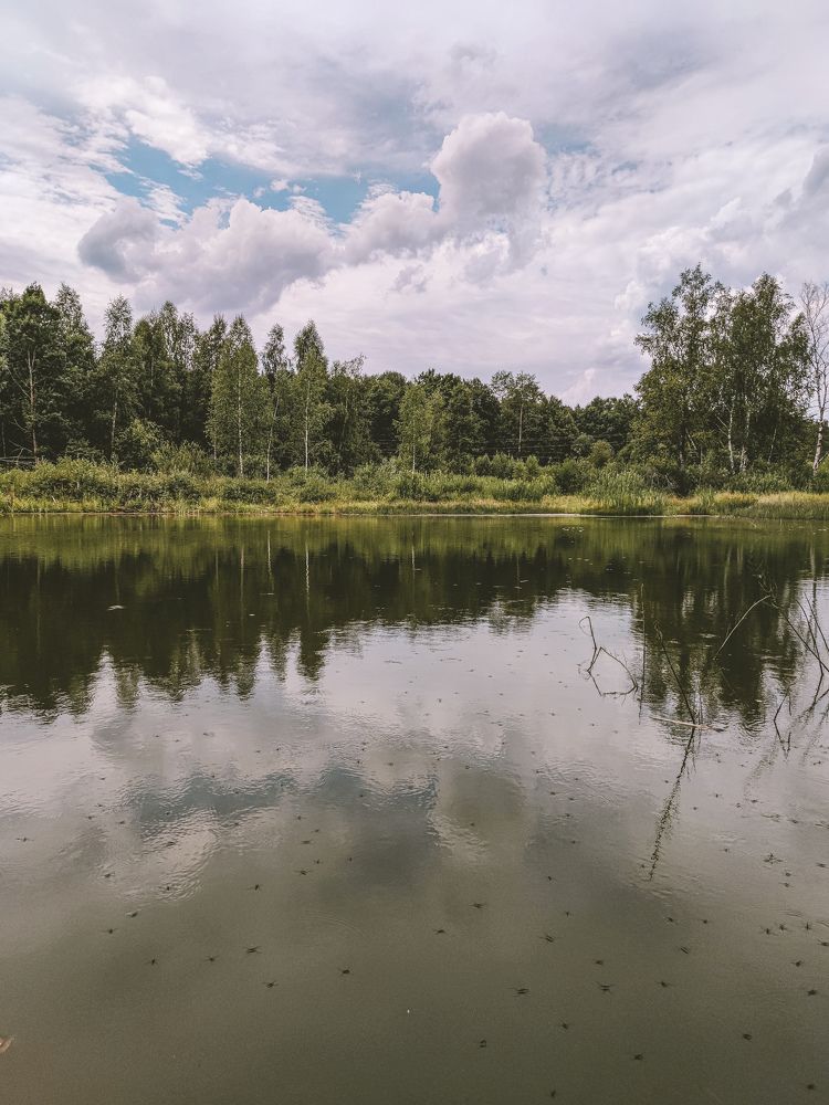 Photograph by Анна Санфирова