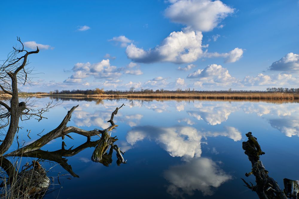 Фотография автора Владимир Глинский