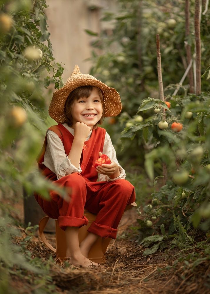 Томатный гном