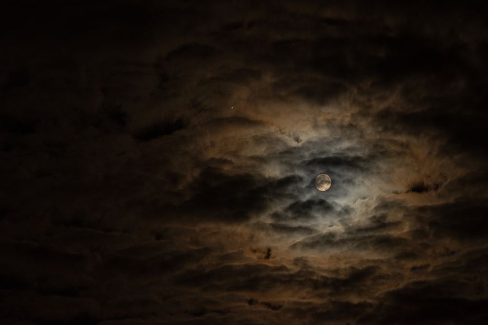 Photograph by Татьяна Мазепова