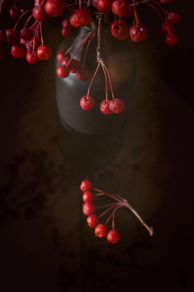 Фотография автора Альбина Кадочникова