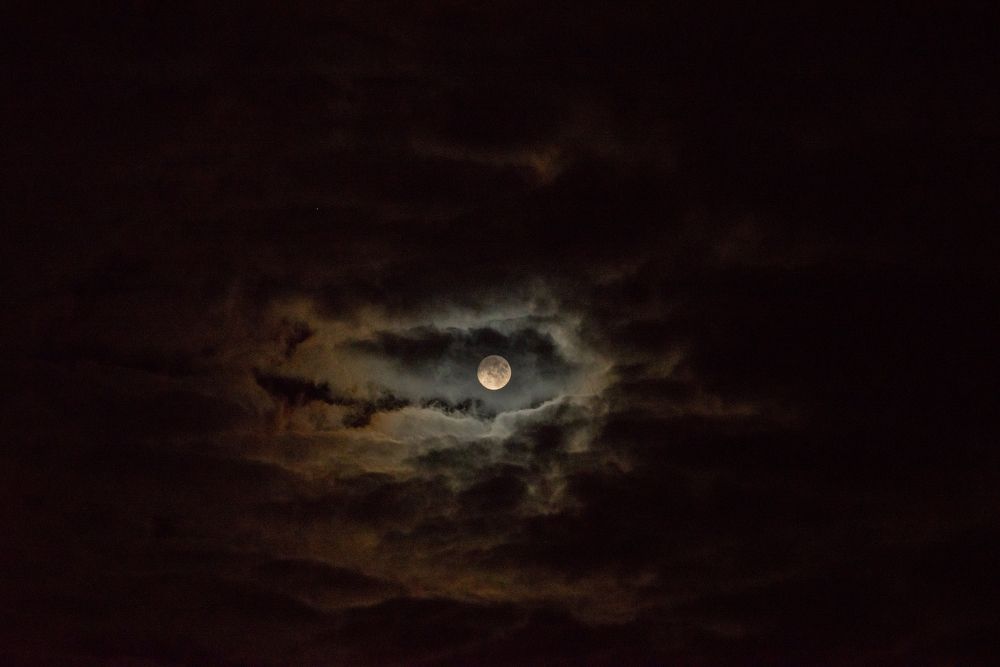 Photograph by Татьяна Мазепова