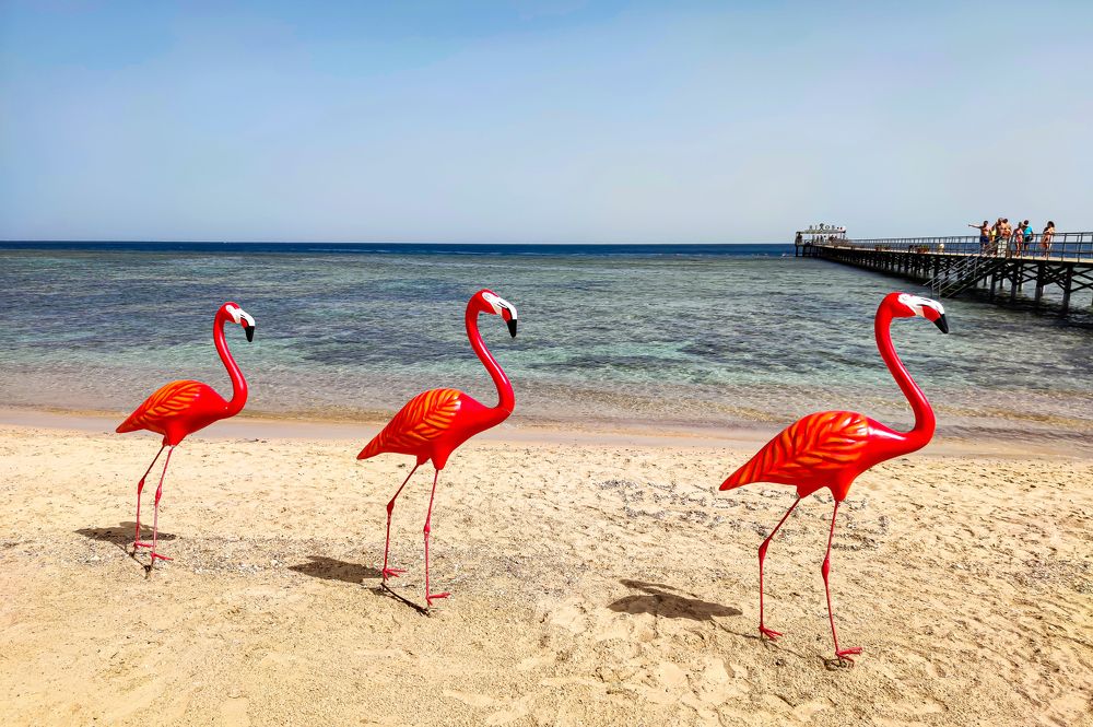 Photograph by Ivars Andrups