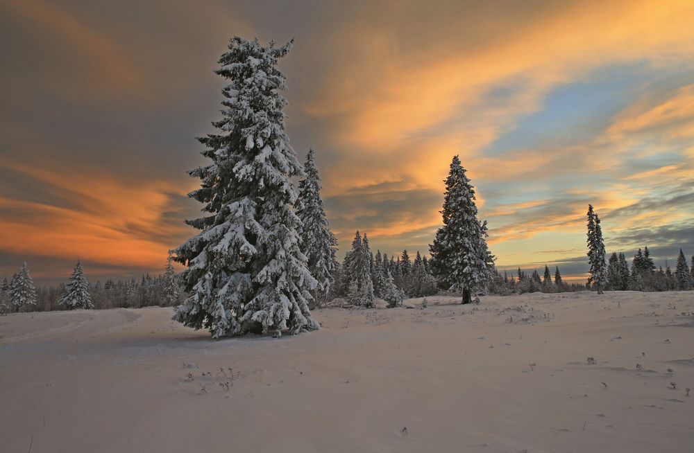 Фотография автора Юрий Кетель