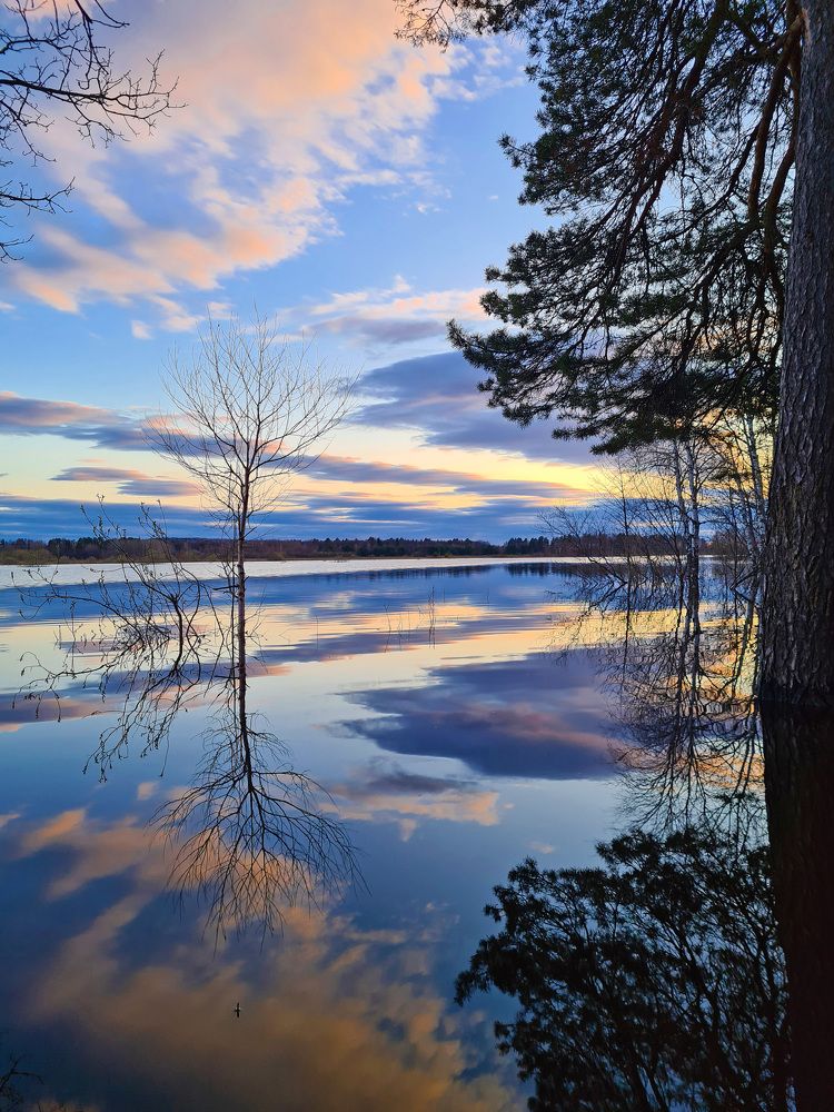 Photograph by Анастасия Северюхина