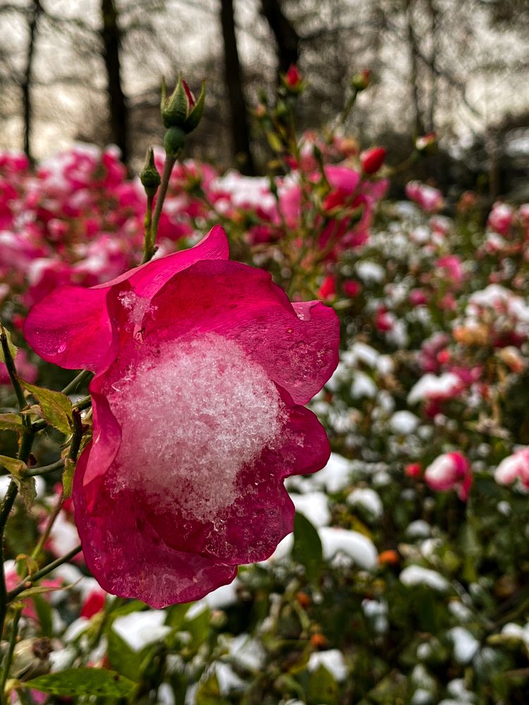 Photograph by Оксана Сидоренко