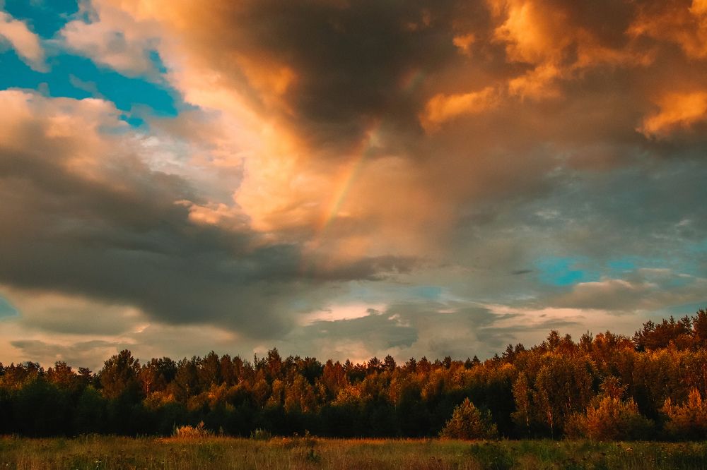 Photograph by Алексей