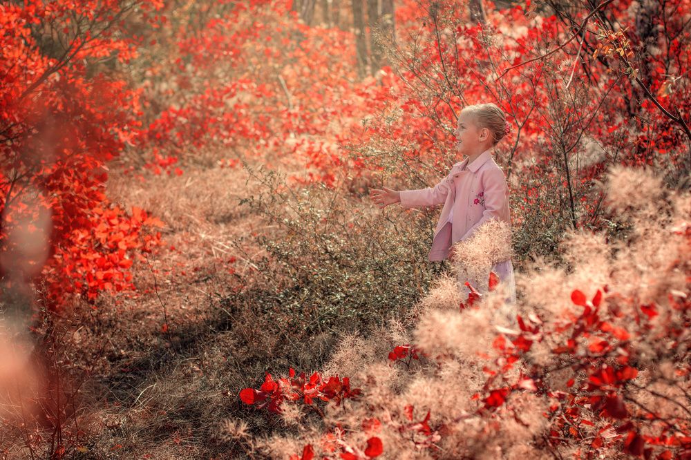 Photograph by Александра Охрименко