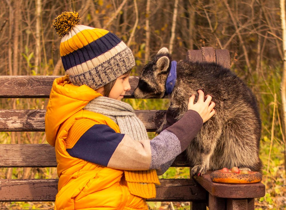 Photograph by Анна Авилочкина