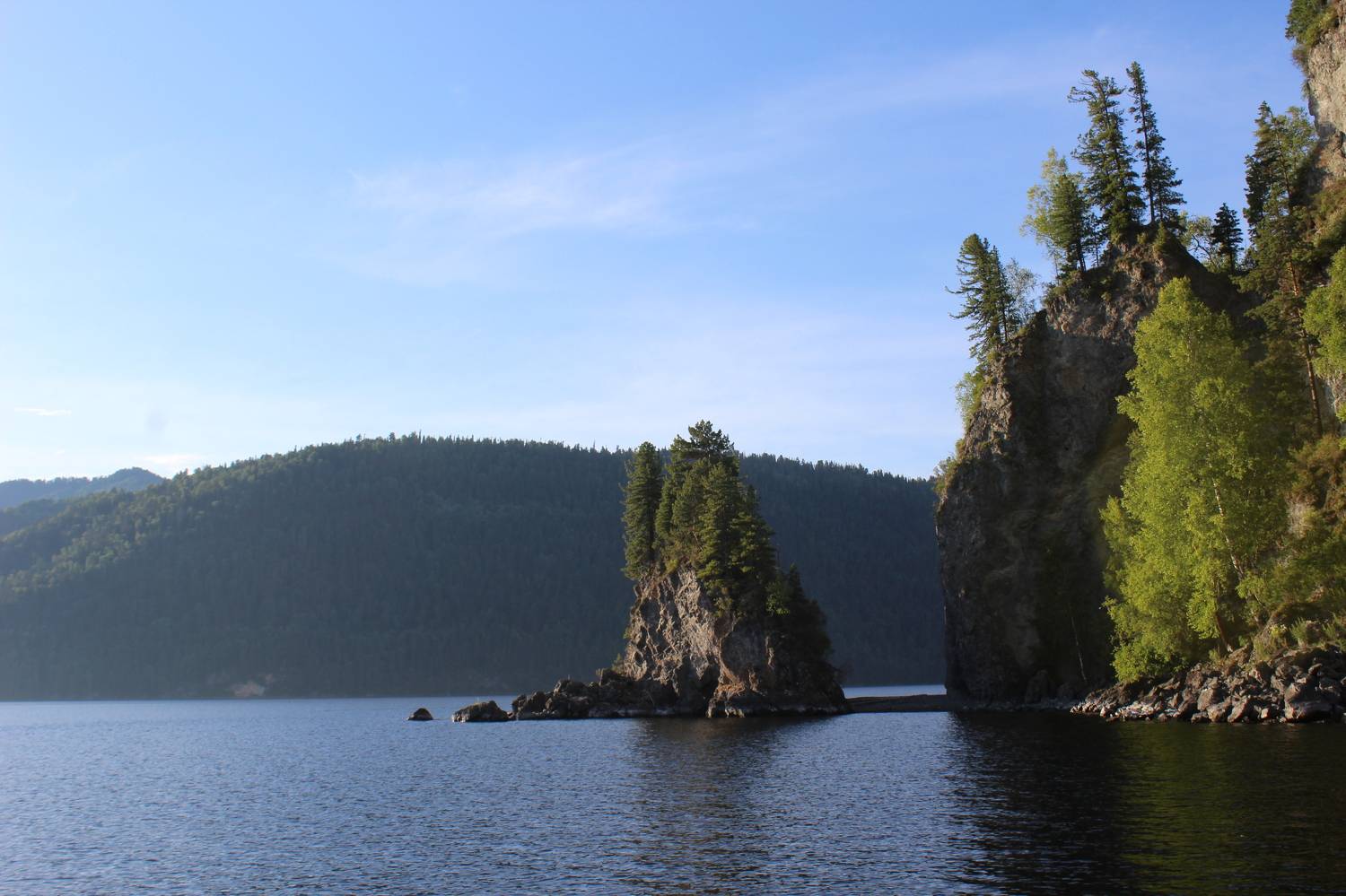 Photo #8385018