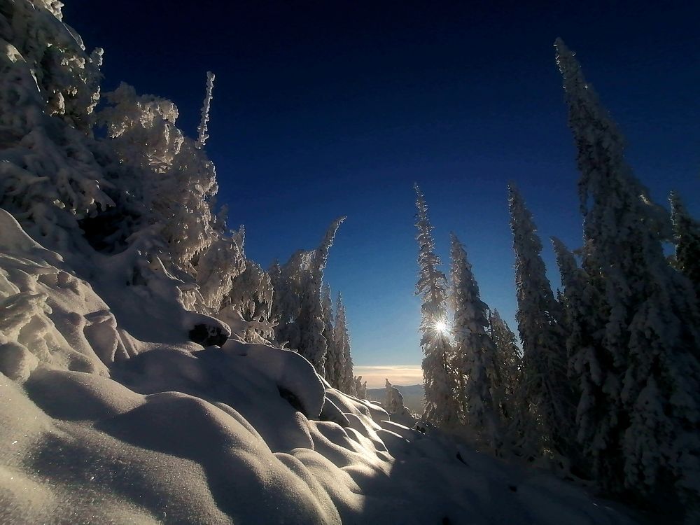 Photograph by Сергей Панков