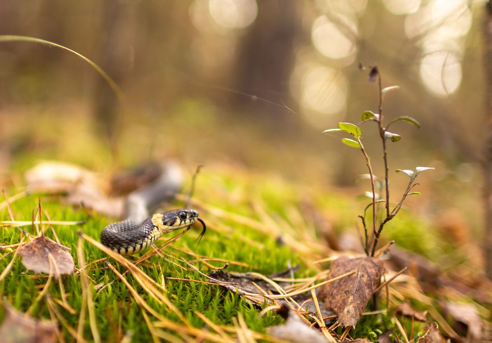 Photograph by Ilya Dudin