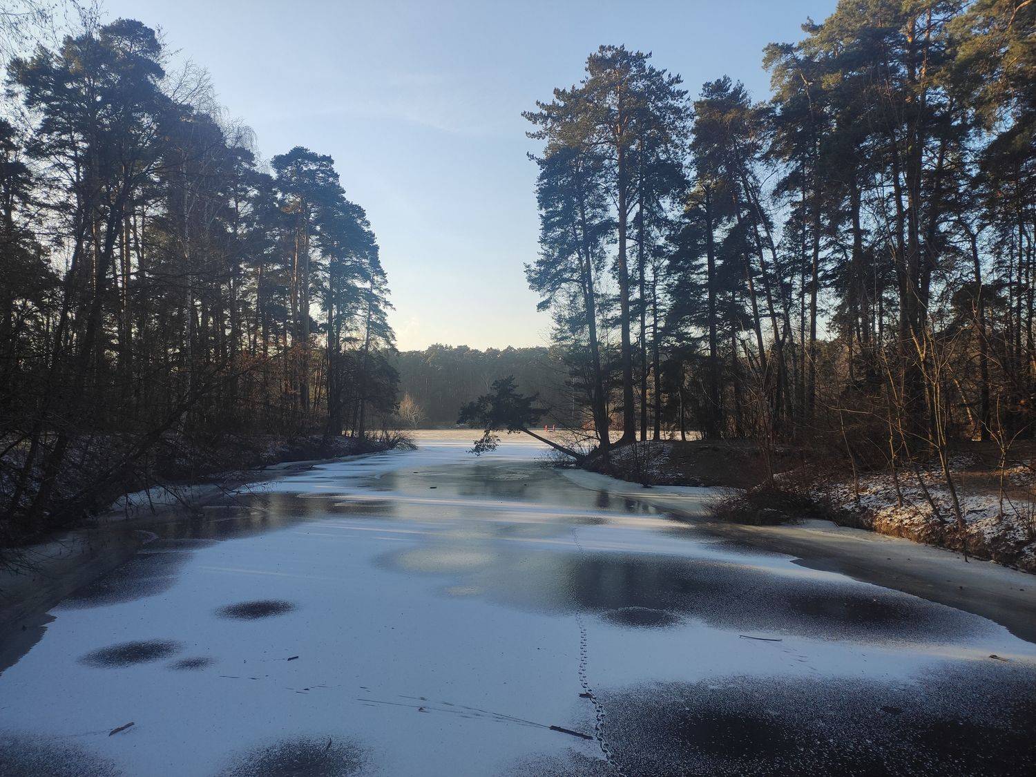 Photo #8385062