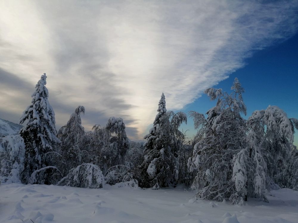 Photograph by Сергей Панков