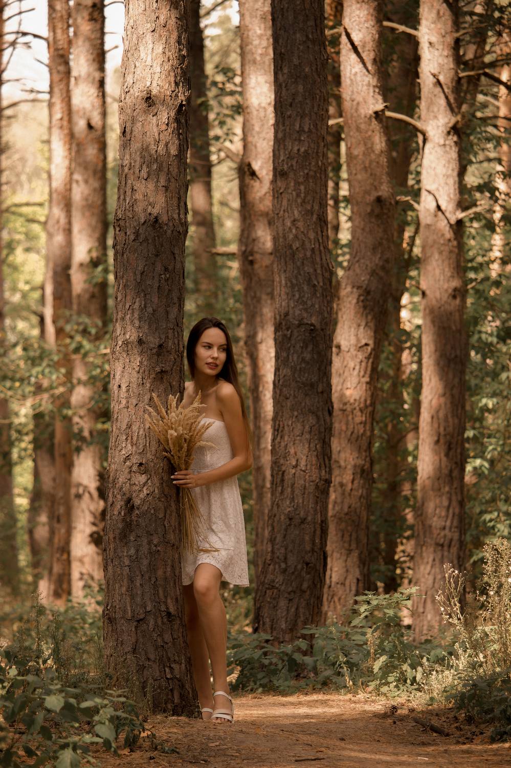 Photo #8385084