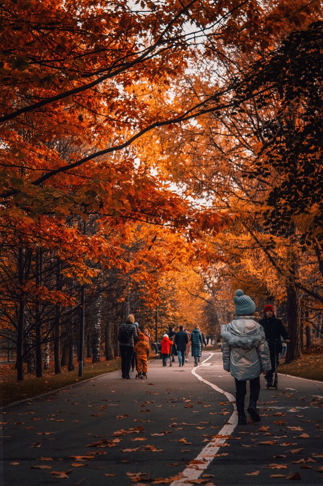 Photograph by Сергей Антонов