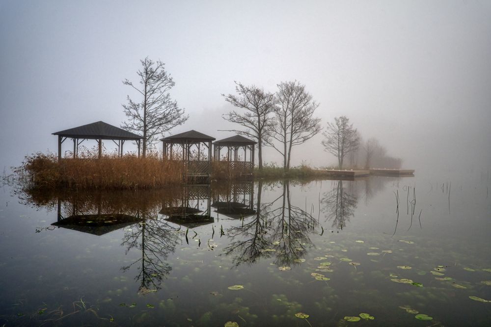 Photograph by Albina Kulikova