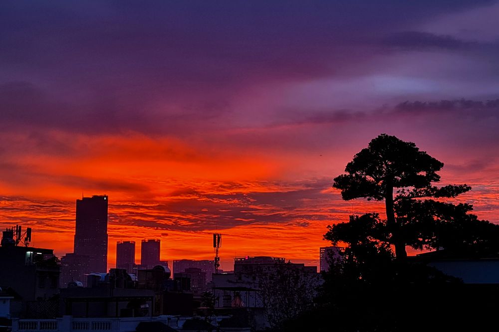 Photograph by Long Nguyen