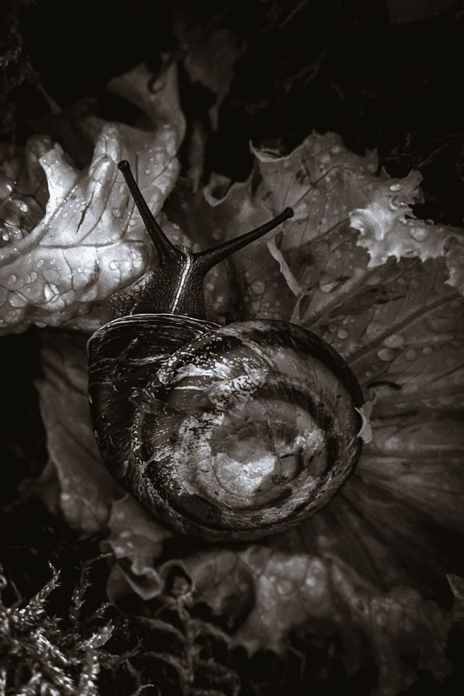 Photograph by Дарья Макаревич