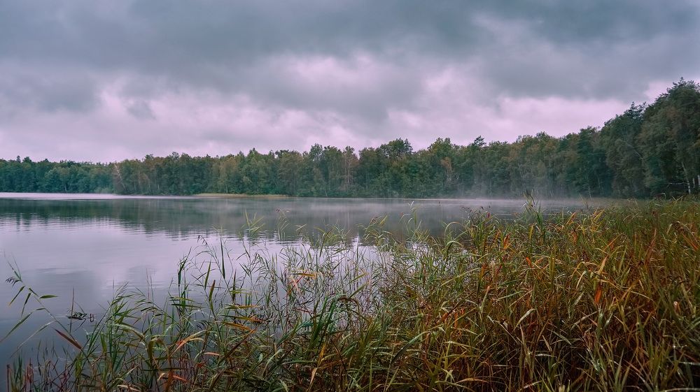 Photograph by Светлана Иванова