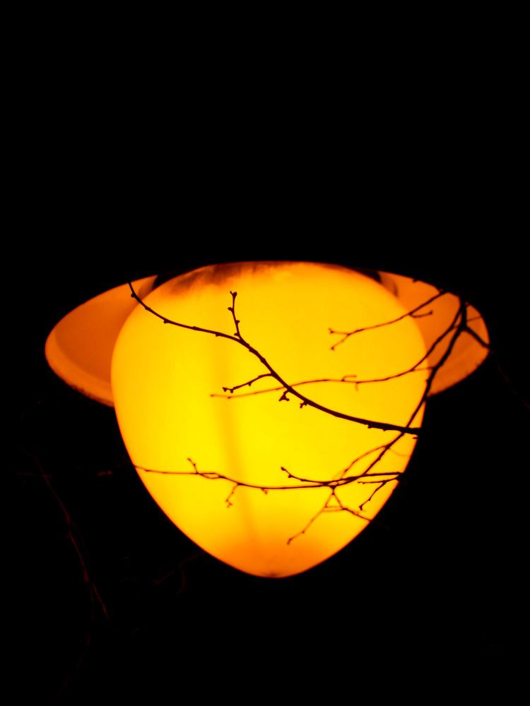 Photograph by Анастасия Моисеева